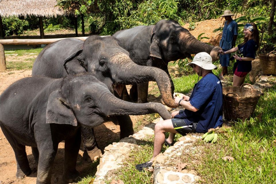 Khao Lak: Ethical Elephant Sanctuary Experience - Key Points