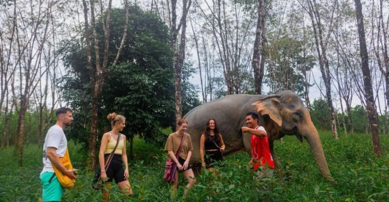 Khao Lak Guided Nature Walk & Elephant Experience - Itinerary and Highlights