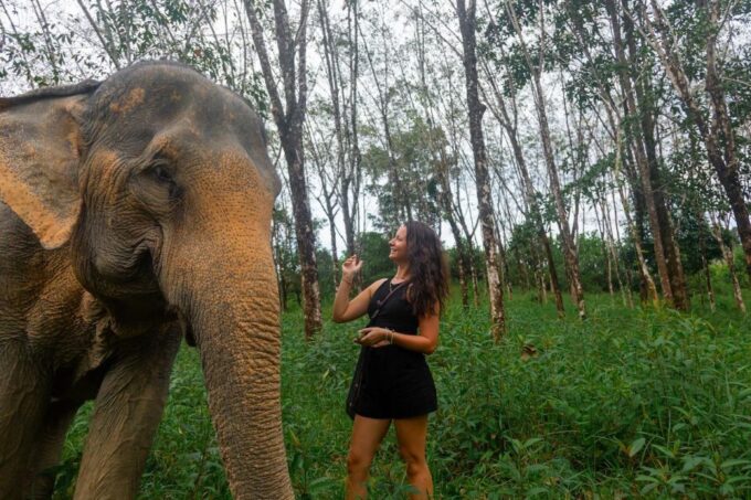 Khao Lak Guided Nature Walk & Elephant Experience - Customer Feedback and Ratings