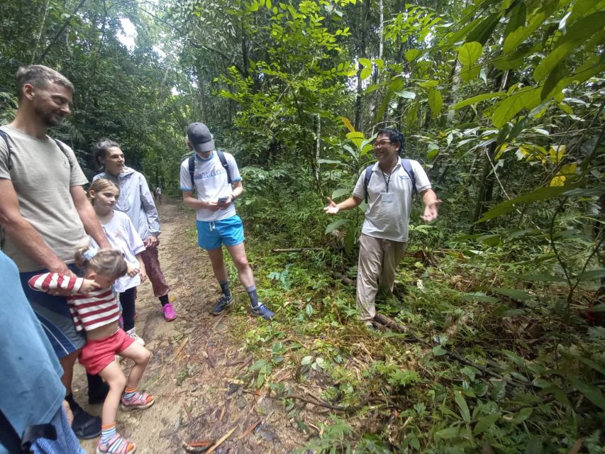 Khao Lak: Khao Sok Elephant Sanctuary and Night Jungle Walk - Elephant Sanctuary Experience
