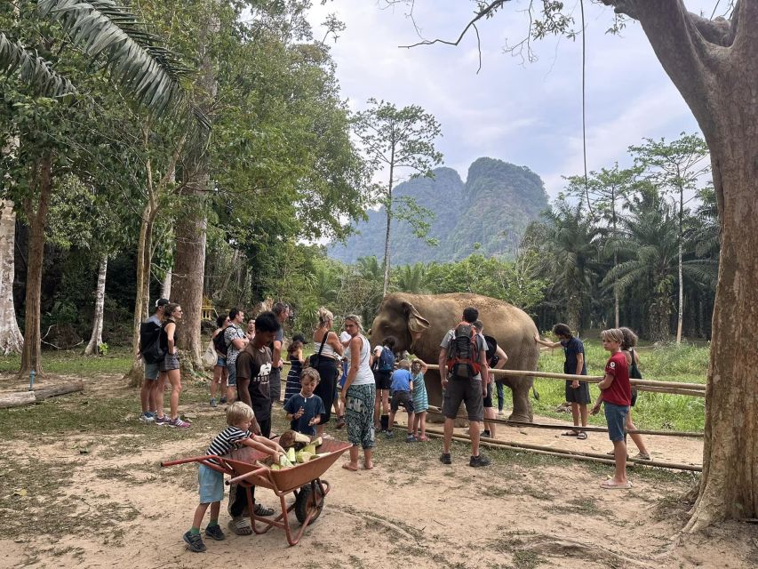 Khao Lak: Khao Sok Elephant Sanctuary and Night Jungle Walk - Mud Spa and Bathing