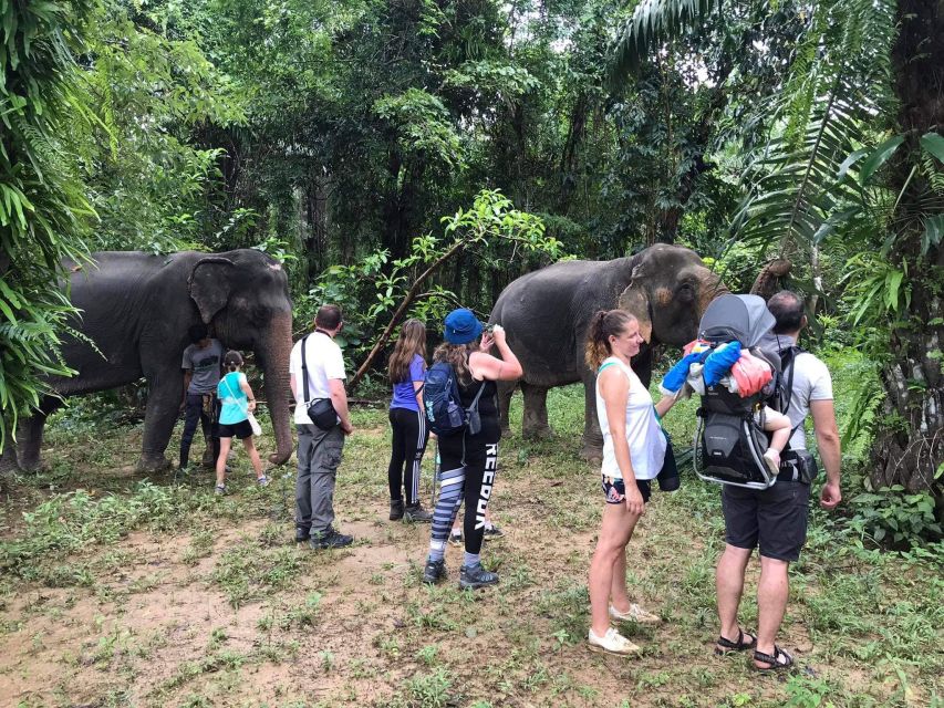 Khao Lak: Khao Sok Elephant Sanctuary and Night Jungle Walk - Cultural Immersion at Khaosok Monkey Temple