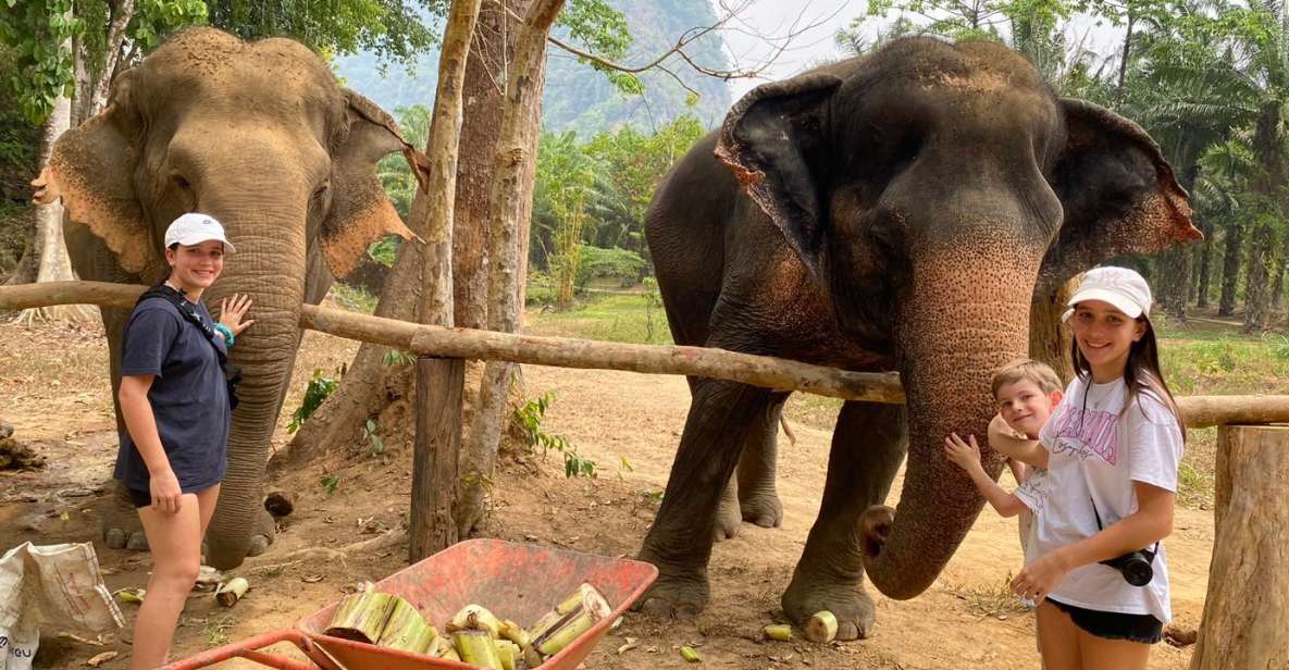 Khao Lak: Khao Sok Elephant Sanctuary and Night Jungle Walk - Twilight Jungle Encounters