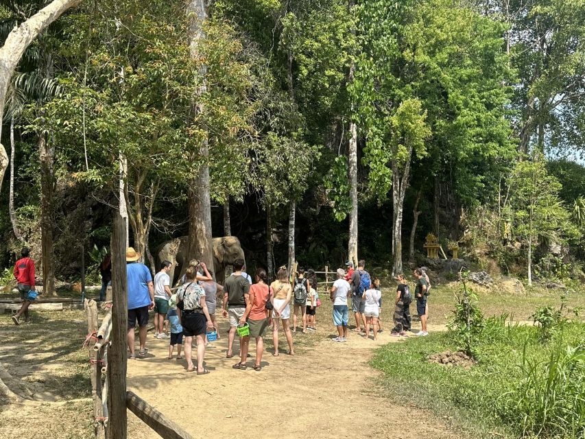 Khao Lak: Khao Sok Elephant Sanctuary and Night Jungle Walk - Frequently Asked Questions