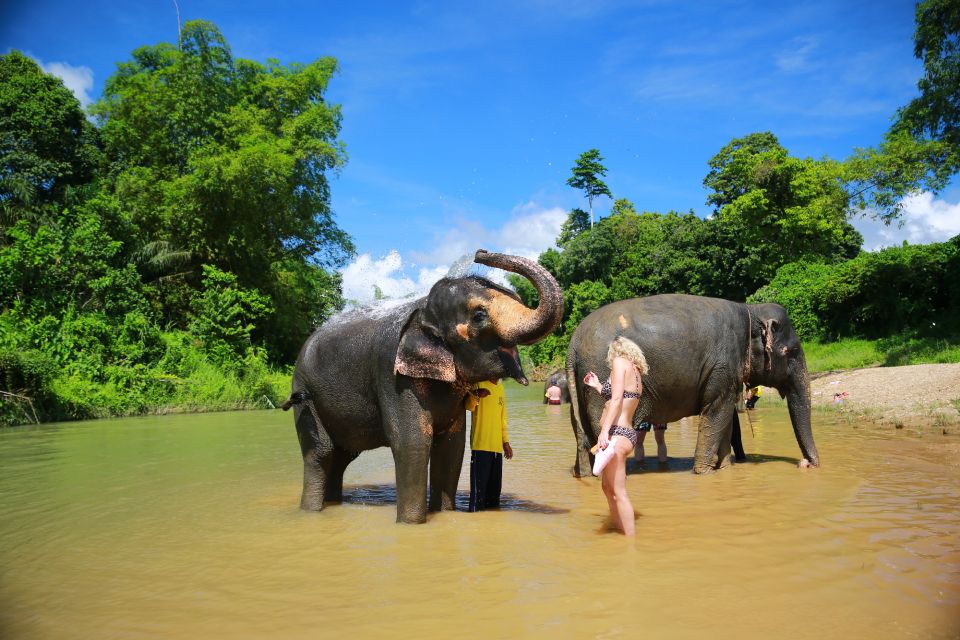 Khao Lak: Khao Sok National Park Overnight Treehouse Trip - Authentic Thai Lunch at Bamboo Rafts