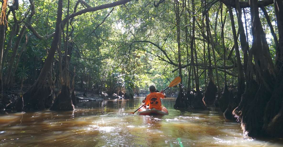 Khao Lak: Little Amazon Canoe Ride & Tam Nang Waterfall Tour - Inclusions