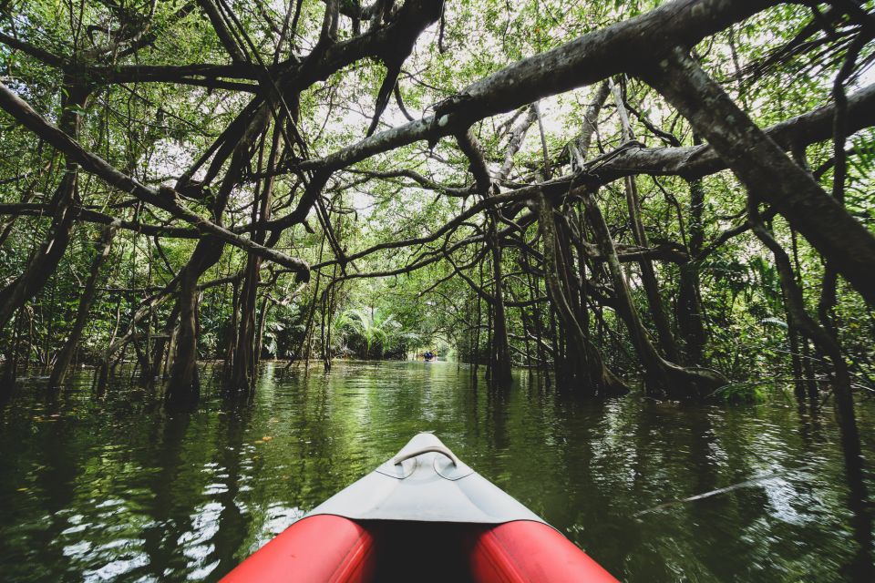Khao Lak: Little Amazon Canoe Ride & Tam Nang Waterfall Tour - Canoe Ride Through Little Amazon