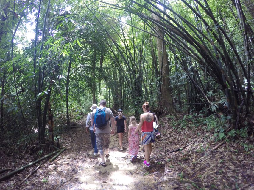 Khao Lak: Little Amazon Canoe Ride & Tam Nang Waterfall Tour - Visit to Tam Nang Waterfall