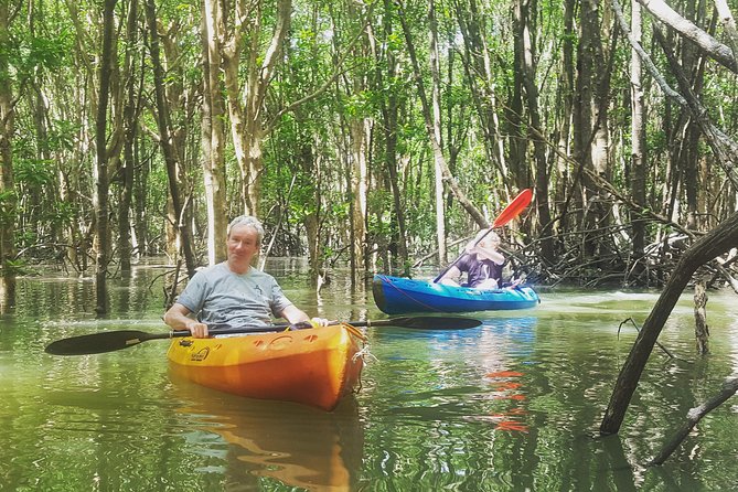 Khao Lak Mangrove Explorers - Explore the Mangrove Environment