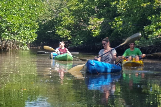Khao Lak Mangrove Explorers - Choice Between Private or Group
