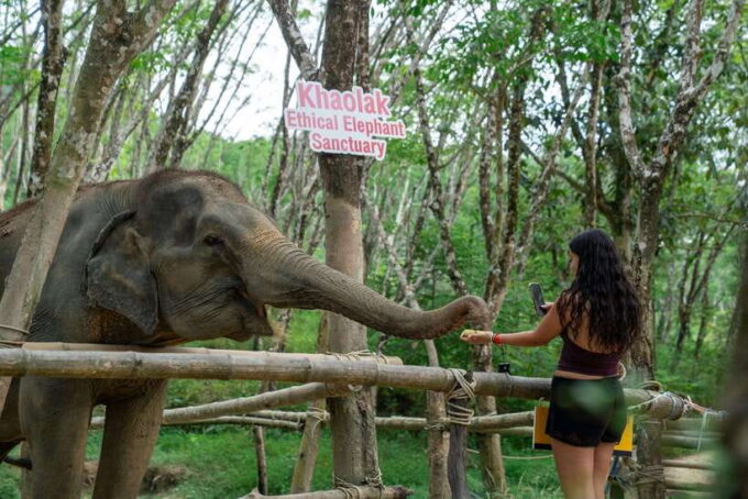 Khao Lak Multi-Adventure: Bamboo Rafting, ATV & Elephants - Customer Feedback
