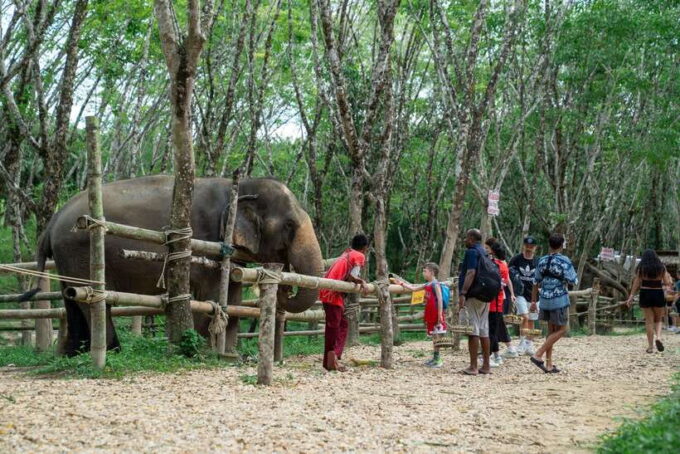 Khao Lak Multi-Adventure: Bamboo Rafting, ATV & Elephants - Why Choose This Tour?