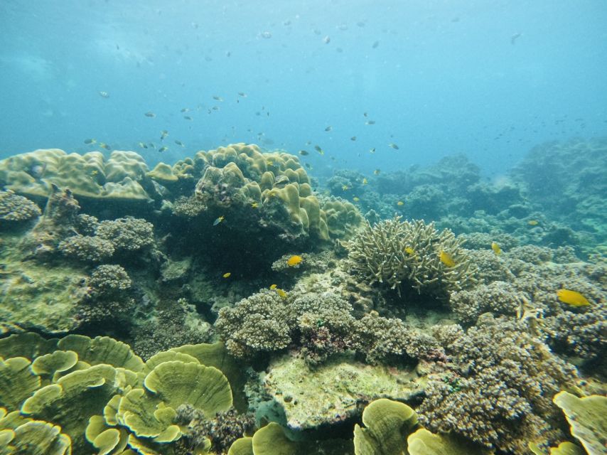 Khao Lak: Phi Phi & Bamboo Island Day Trip by Speedboat - Key Points