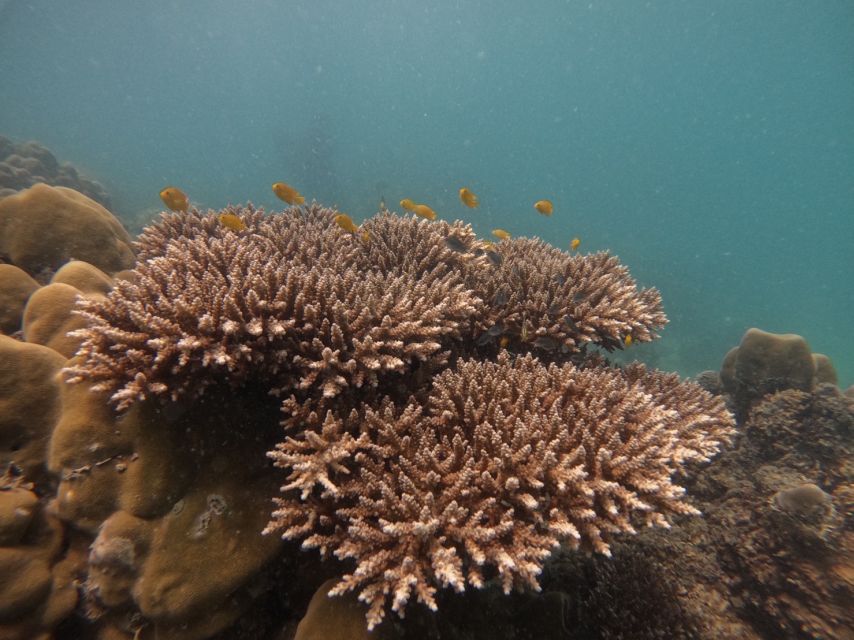 Khao Lak: Phi Phi & Bamboo Island Day Trip by Speedboat - Weather and Operations