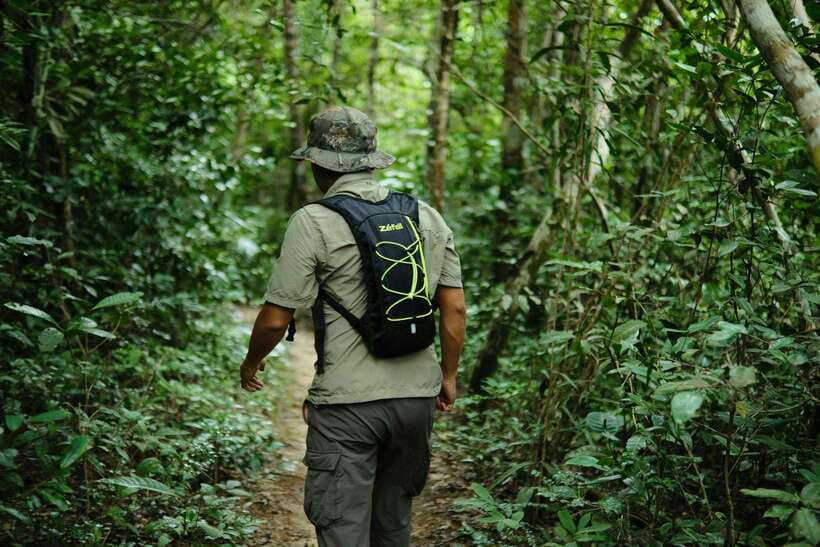 Khao Lak: Private Khao Sok Jungle Safari With Bamboo Rafting - Bamboo Rafting Adventure