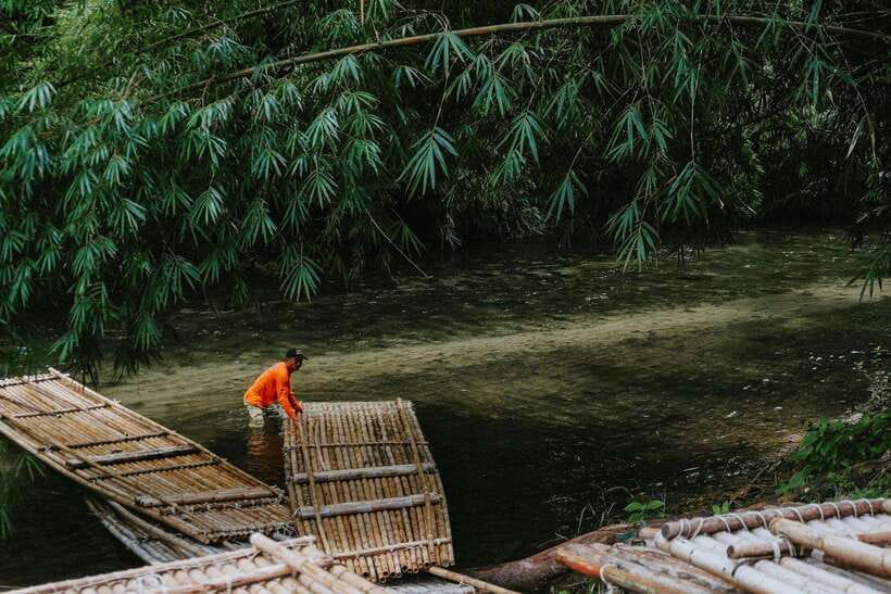 Khao Lak: Private Khao Sok Jungle Safari With Bamboo Rafting - Lunch and Refreshments in Nature