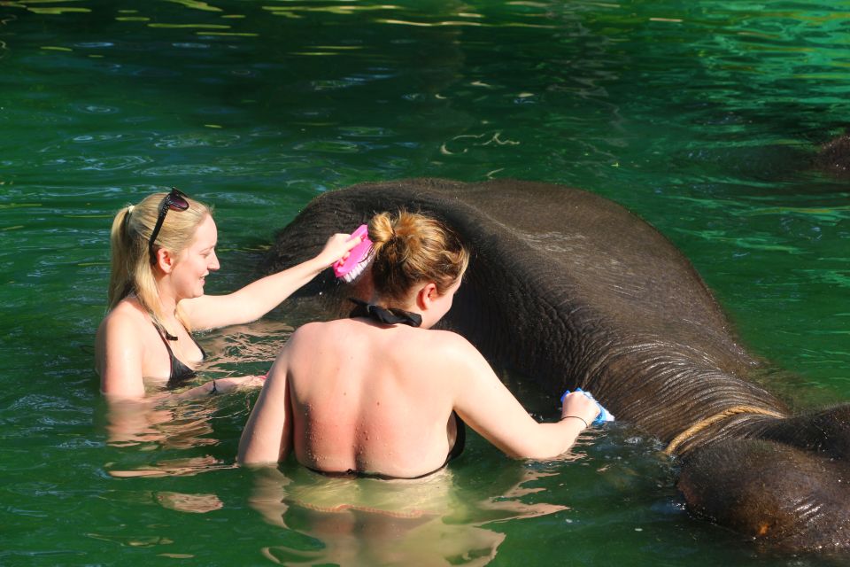 Khao Lak: Rafting, Elephant Bathing & Sea Turtle Center Tour - Key Points