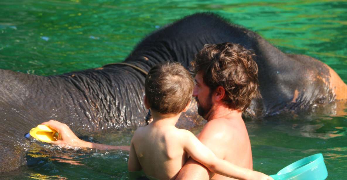 Khao Lak: Rafting, Elephant Bathing & Sea Turtle Center Tour - Inclusions and Amenities