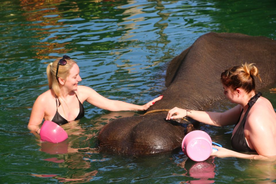 Khao Lak: Rafting, Elephant Bathing & Sea Turtle Center Tour - Accessibility and Restrictions