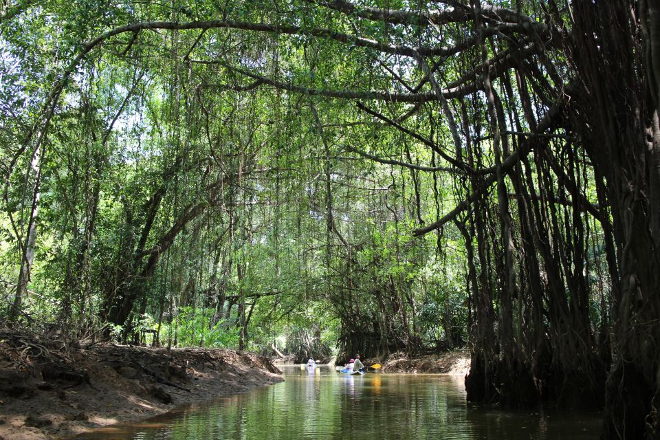 Khao Lak: Sri Phang Nga Canoe and Tam Nang Waterfall Tour - Discovering Tam Nang Waterfall