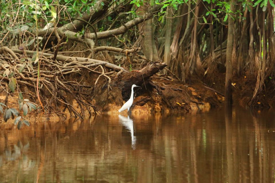 Khao Lak: Sri Phang Nga Canoe and Tam Nang Waterfall Tour - 200-year-old Banyan Trees