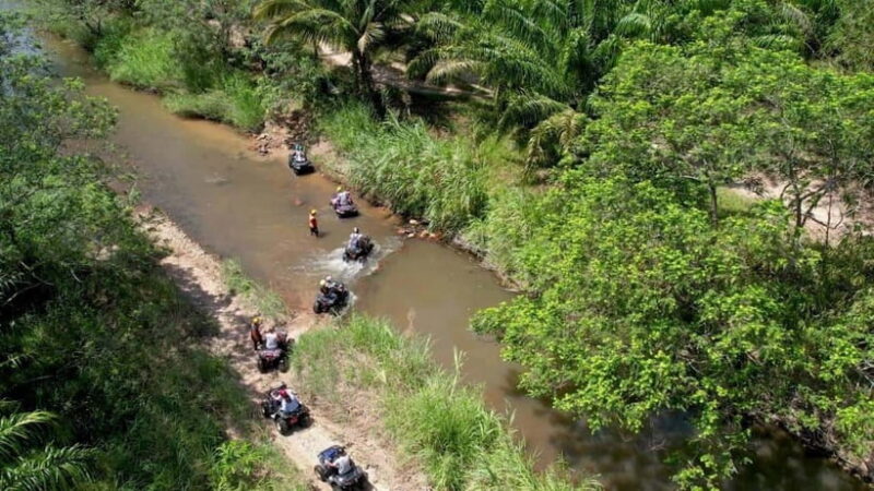 Khao Lak: White Water Rafting, Zipline and Elephant Feeding - Lunch and Elephant Feeding