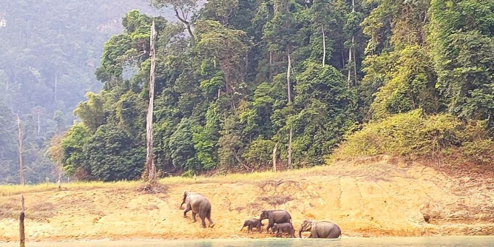 Khao Sok: Cheow Lan Lake Sunset Cruise W/ Drinks - Key Points