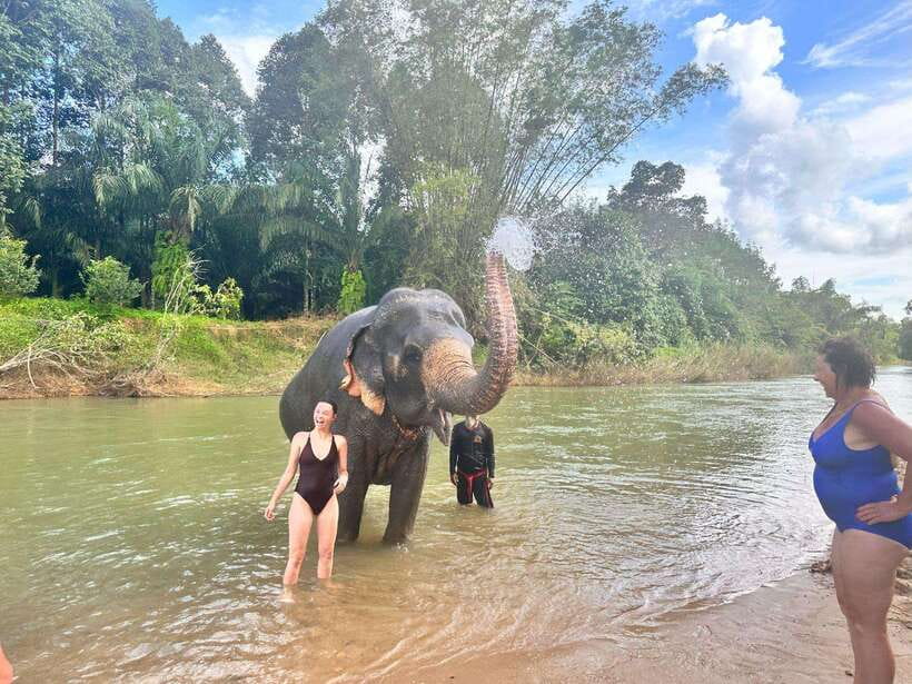 Khao Sok: Elephant Day Care, & Bamboo Rafting Day Tour - Key Points