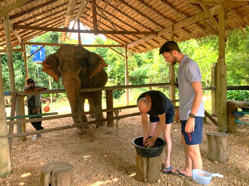 Khao Sok: Elephant Day Care, Cooking Class, & Bamboo Raft - Elephant Sanctuary Experience