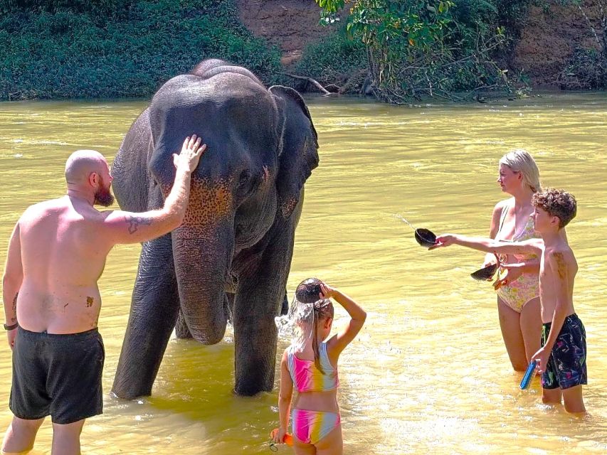 Khao Sok: Elephant Day Care, Cooking Class, & Bamboo Raft - Scenic Drive and Viewpoint