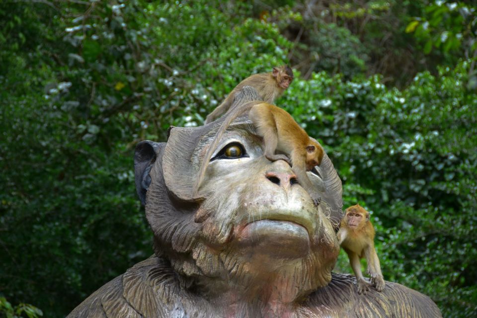 Khao Sok: Elephant Rescue Center With Lunch & Bamboo Rafting - Bamboo Rafting