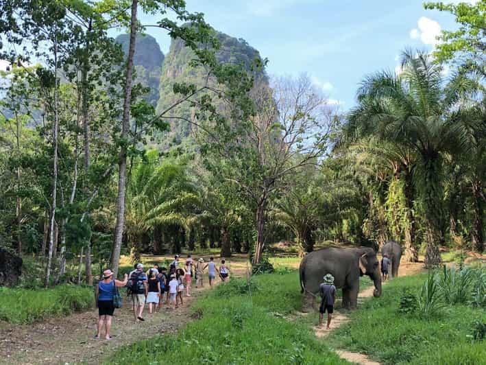Khao Sok: Ethical Elephant Experience & Nature Walk - Key Points