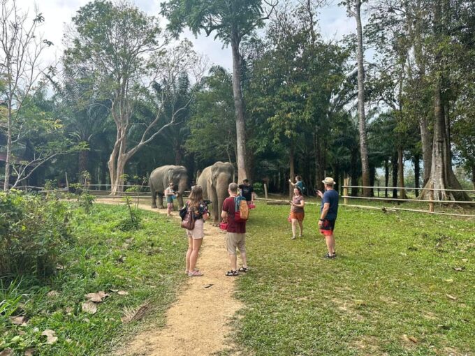 Khao Sok: Ethical Elephant Experience & Nature Walk - Frequently Asked Questions