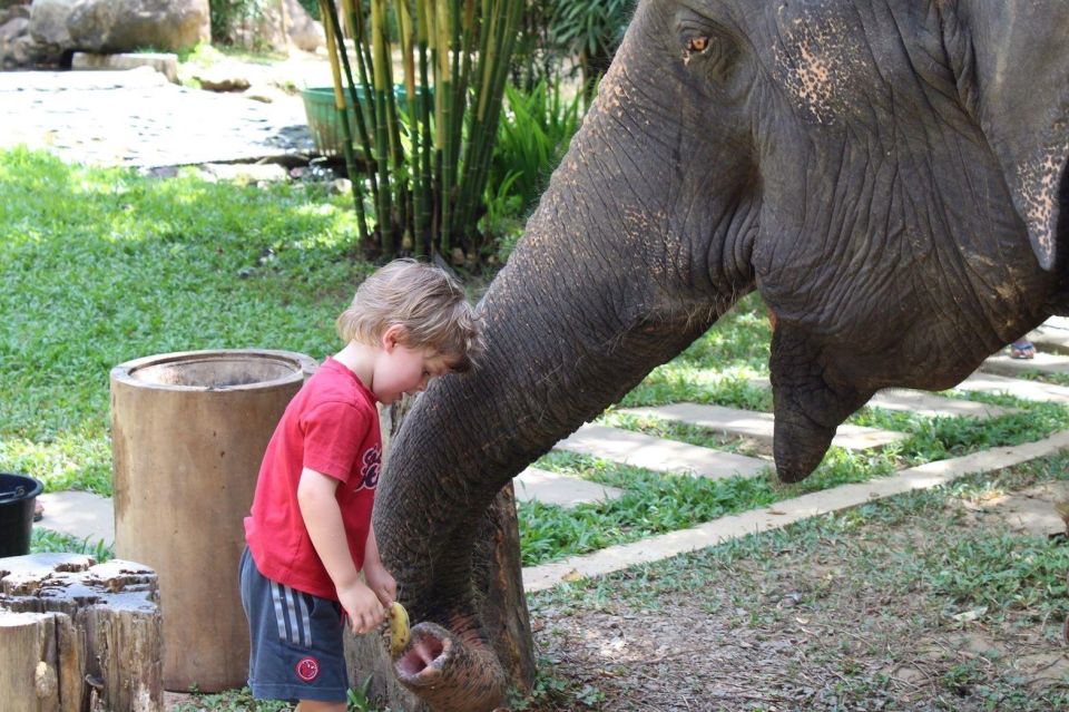Khao Sok: Ethical Elephant Sanctuary Experience - Comfortable Transportation and Facilities