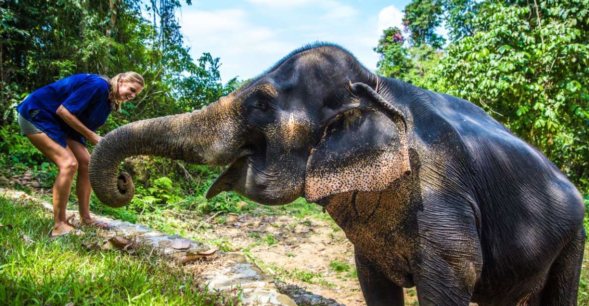 Khao Sok: Ethical Elephant Sanctuary Experience - Frequently Asked Questions