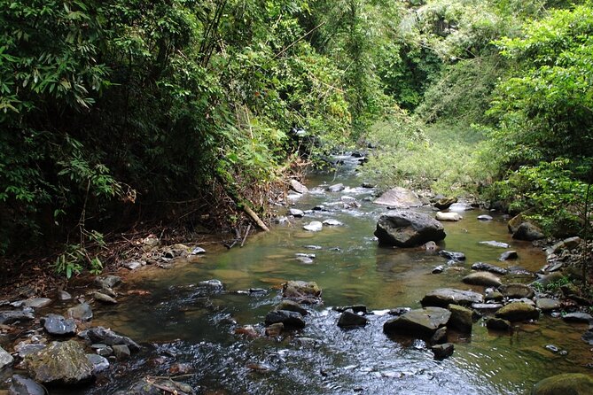 Khao Sok National Park Hiking and Bamboo Raft Tour From Khao Lak - Daily Schedule and Conditions