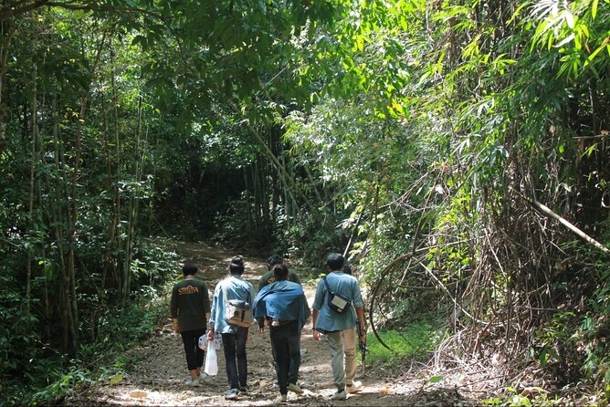 Khao Sok National Park Hiking and Bamboo Raft Tour From Khao Lak - Health and Safety Guidelines