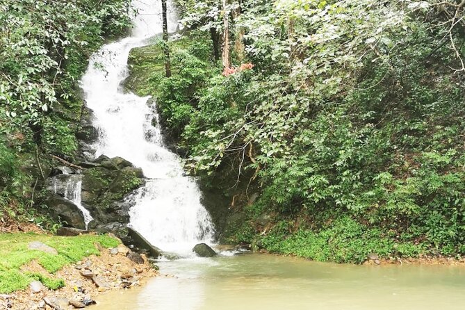 Khao Sok National Park Hiking and Bamboo Raft Tour From Khao Lak - Tips for a Great Experience