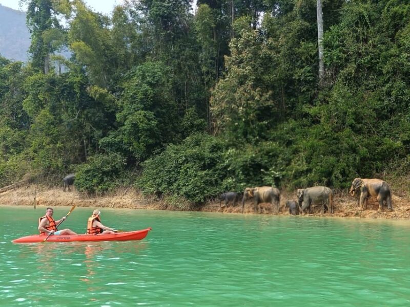 Khao Sok: Private Full-Day Lake Adventure by Long-Tail Boat - Itinerary and Experience