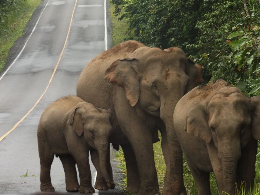 Khao Yai National Park: 2-Day Private Tour From Bangkok - Key Points