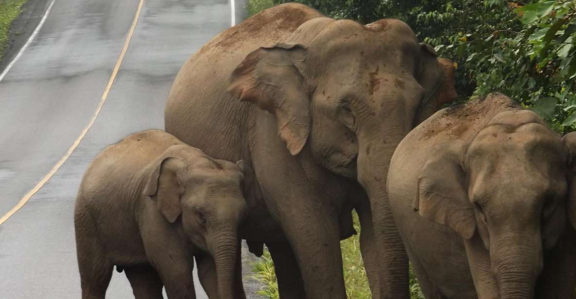 Khao Yai National Park: 2-Day Private Tour From Bangkok - Day 1 Itinerary