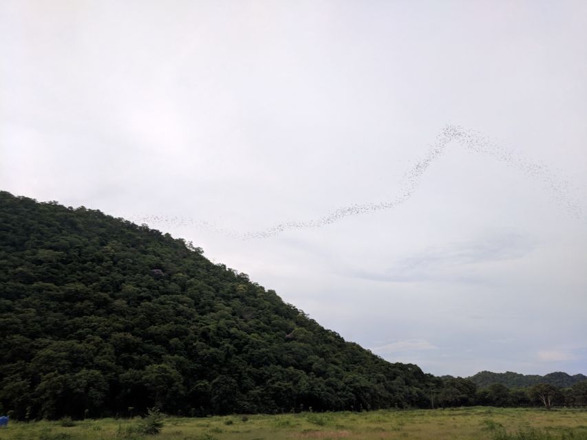 Khao Yai National Park: 2-Day Private Tour From Bangkok - Buddhist Cave Temple