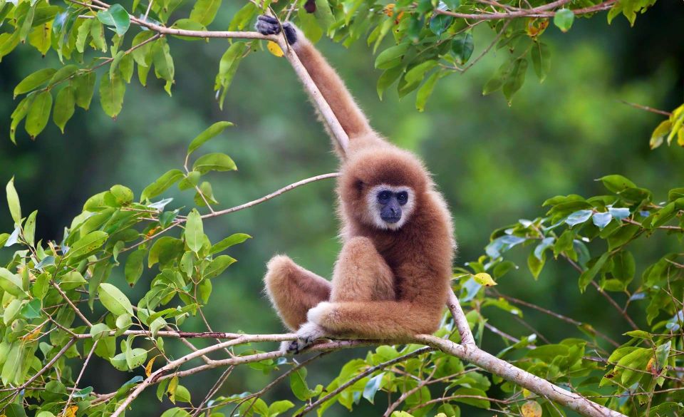 Khao Yai National Park: 2-Day Private Tour From Bangkok - Inclusions and Information