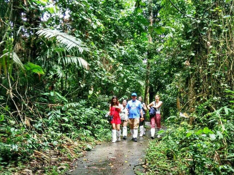 Khao Yai National Park: Waterfalls - Heaw Narok & Heaw Suwat - Overview of Khao Yai National Park Tour