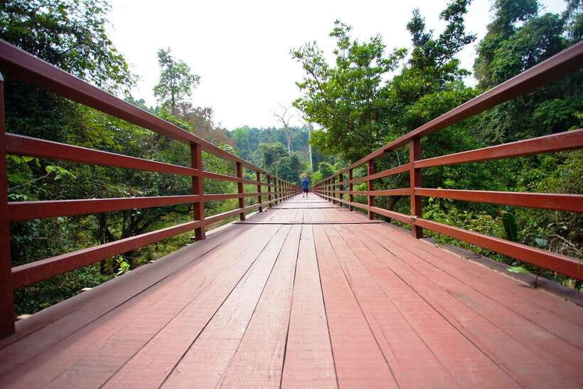 Khao Yai National Park: Waterfalls - Heaw Narok & Heaw Suwat - Customer Reviews and Highlights