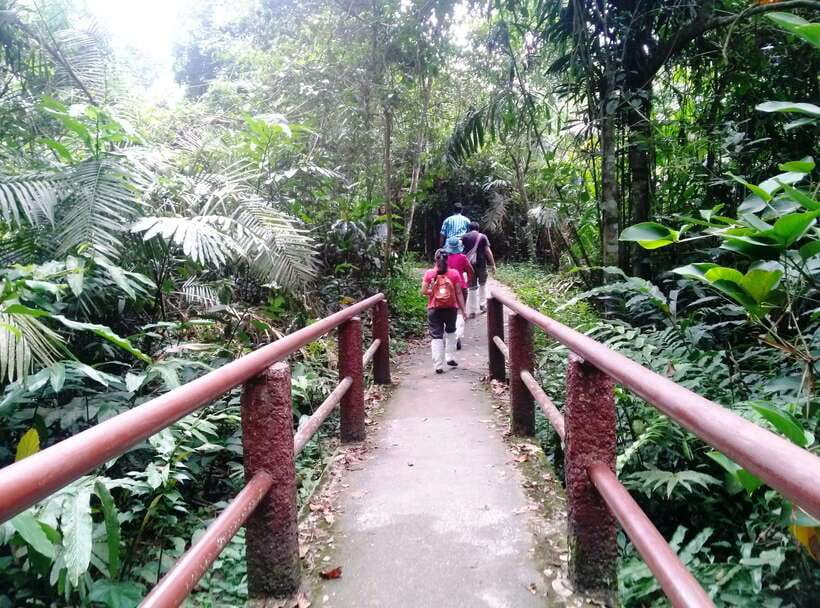 Khao Yai National Park: Waterfalls - Heaw Narok & Heaw Suwat - Immerse Yourself in Khao Yais Waterfall Wonders