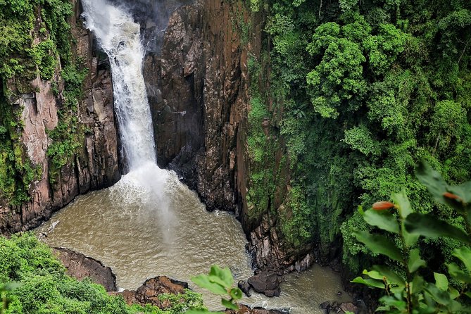 Khao Yai National Park With Waterfall & Hiking - Essential Inclusions for Travelers