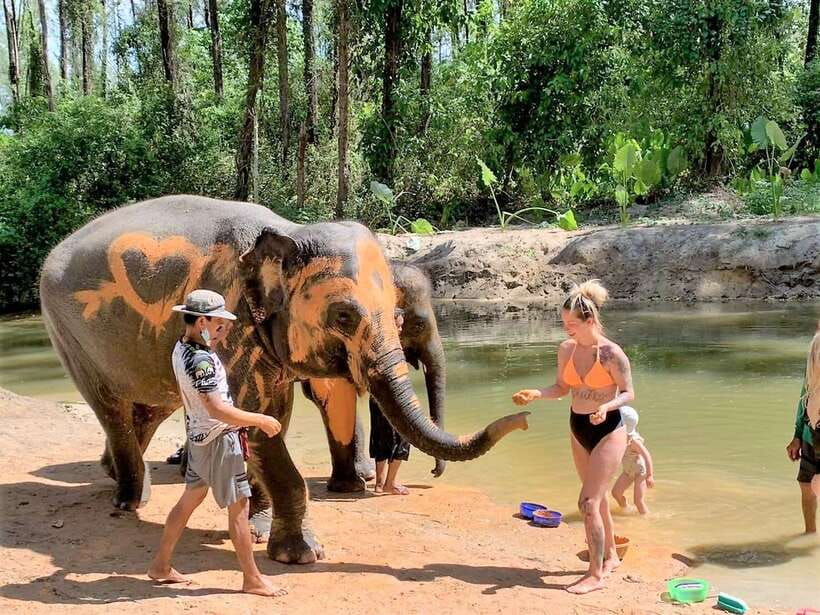 Khaolak: Elephant Interaction in Sanctuary With Bamboo Raft - Key Points