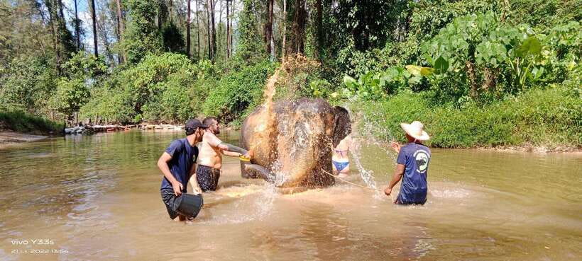 Khaolak: Elephant Interaction in Sanctuary With Bamboo Raft - Activity Overview