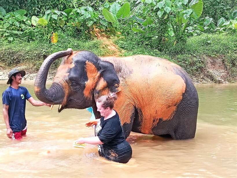 Khaolak: Elephant Interaction in Sanctuary With Bamboo Raft - Customer Feedback